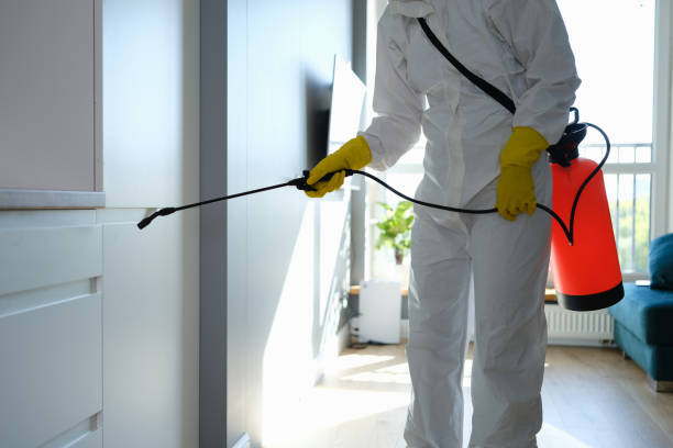 Certified Mold Removal in Parkland, FL