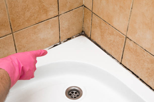 Best Emergency Mold Removal  in Parkland, FL